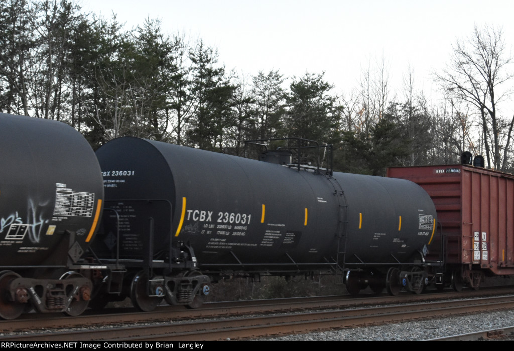 236031